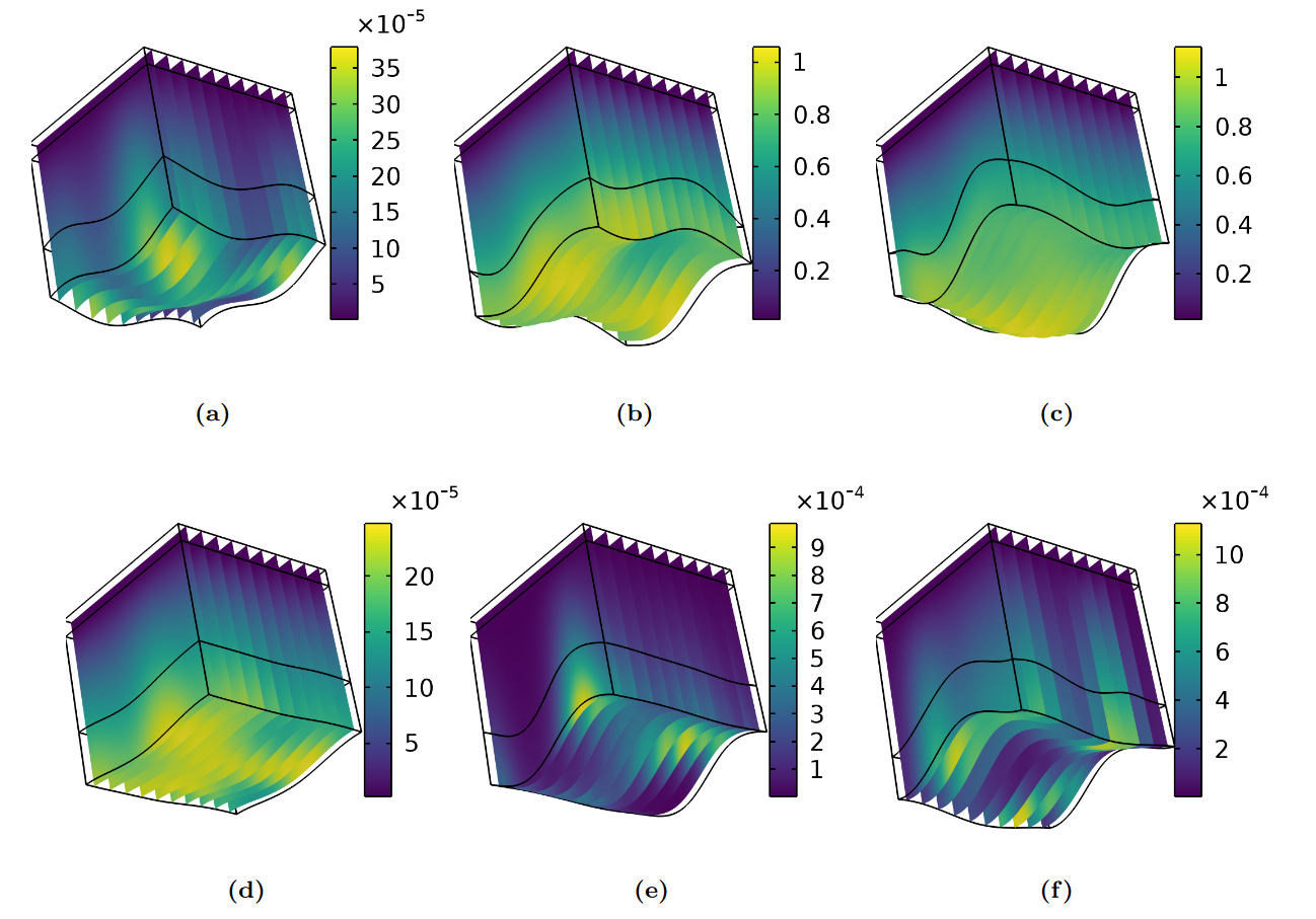 2024_HPV_cervical_neoplasia