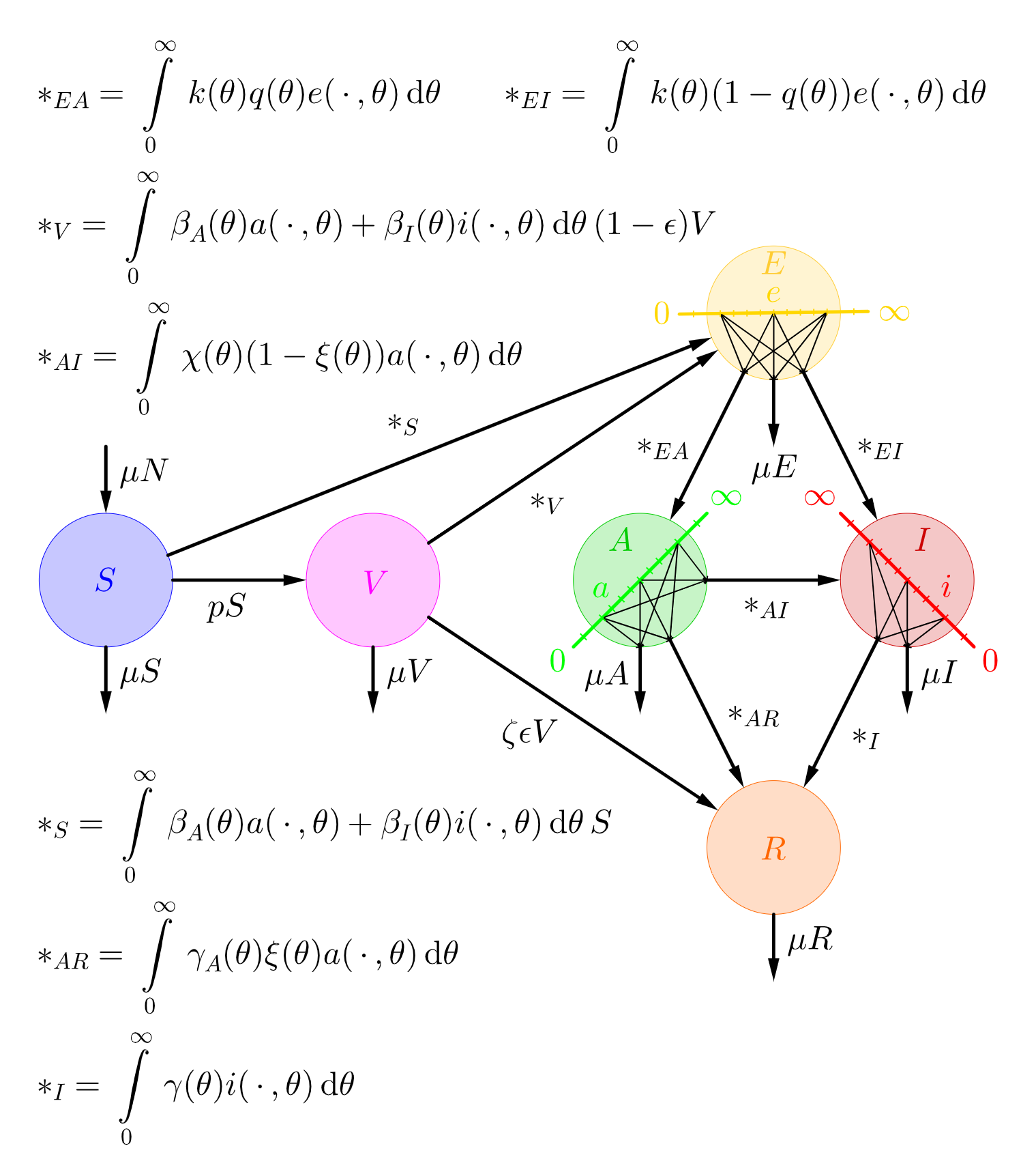 2024_agestructured_SVEAIR