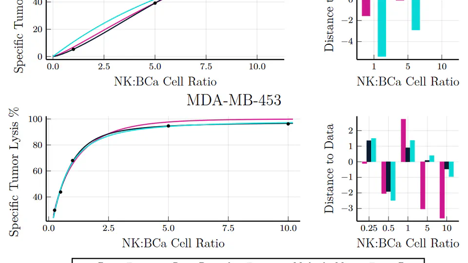 Mathematical modeling of tumor-immune system interactions: the effect of rituximab on breast cancer immune response