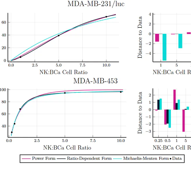 Mathematical modeling of tumor-immune system interactions: the effect of rituximab on breast cancer immune response