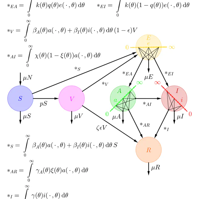 An age-structured SVEAIR epidemiological model